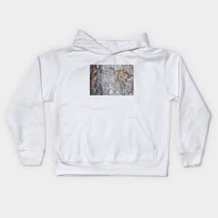 The Bark of a Tree Kids Hoodie